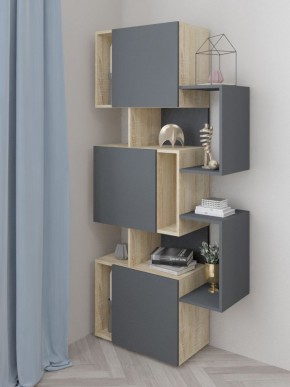 Стеллаж Дублин в Нижнем Тагиле - nizhniy-tagil.mebel24.online | фото 2