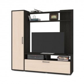 РИГА Стенка в Нижнем Тагиле - nizhniy-tagil.mebel24.online | фото 7