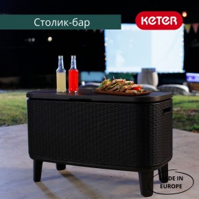 Стол Беви Бар (Bevy Bar Large Cool Bar), графит в Нижнем Тагиле - nizhniy-tagil.mebel24.online | фото 4