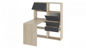 Стол компьютерный Тип 7 в Нижнем Тагиле - nizhniy-tagil.mebel24.online | фото 2