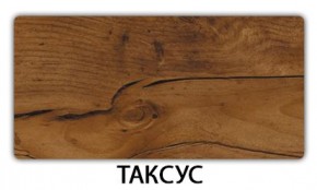 Стол обеденный Трилогия пластик Метрополитан в Нижнем Тагиле - nizhniy-tagil.mebel24.online | фото 18