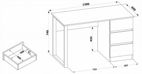 Стол письменный СПм-205 в Нижнем Тагиле - nizhniy-tagil.mebel24.online | фото 4