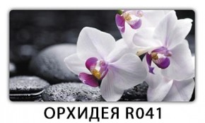 Стол раздвижной Бриз лайм R156 Доска D113 в Нижнем Тагиле - nizhniy-tagil.mebel24.online | фото 18