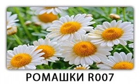 Стол раздвижной Трилогия с фотопечатью Лайм R156 в Нижнем Тагиле - nizhniy-tagil.mebel24.online | фото 15