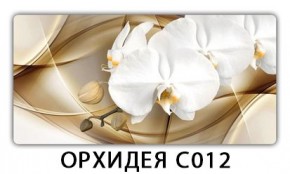 Стол раздвижной Трилогия с фотопечатью Орхидея C013 в Нижнем Тагиле - nizhniy-tagil.mebel24.online | фото 13