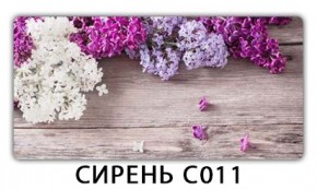 Стол раздвижной Трилогия с фотопечатью Ромашки R007 в Нижнем Тагиле - nizhniy-tagil.mebel24.online | фото 16