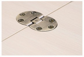 Стол-трансформер Престиж в Нижнем Тагиле - nizhniy-tagil.mebel24.online | фото 10