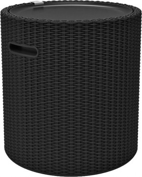 Столик-холодильник Кул-Стул (Cool stool) графит в Нижнем Тагиле - nizhniy-tagil.mebel24.online | фото 2