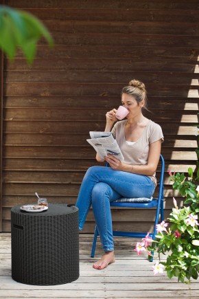 Столик-холодильник Кул-Стул (Cool stool) коричневый в Нижнем Тагиле - nizhniy-tagil.mebel24.online | фото 2