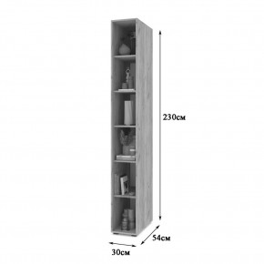 СТОУН С10 Пенал-стеллаж (дуб золотой) в Нижнем Тагиле - nizhniy-tagil.mebel24.online | фото 2