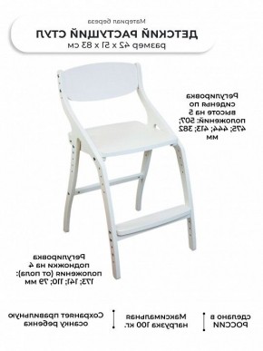 Стул Эверест в Нижнем Тагиле - nizhniy-tagil.mebel24.online | фото 5