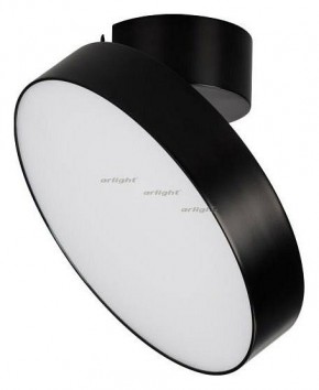 Светильник на штанге Arlight SP-RONDO-FLAP-R210-20W Day4000 (BK, 110 deg) 026453 в Нижнем Тагиле - nizhniy-tagil.mebel24.online | фото 2