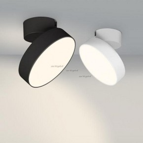 Светильник на штанге Arlight SP-RONDO-FLAP-R210-20W Day4000 (BK, 110 deg) 026453 в Нижнем Тагиле - nizhniy-tagil.mebel24.online | фото 3
