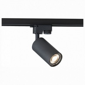 Светильник на штанге ST-Luce Solt ST300.406.01 в Нижнем Тагиле - nizhniy-tagil.mebel24.online | фото 1