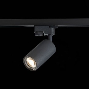 Светильник на штанге ST-Luce Solt ST300.406.01 в Нижнем Тагиле - nizhniy-tagil.mebel24.online | фото 6