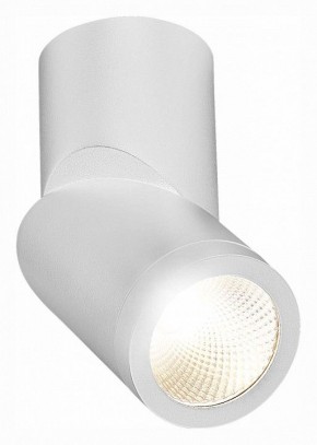 Светильник на штанге ST-Luce ST650 ST650.542.10 в Нижнем Тагиле - nizhniy-tagil.mebel24.online | фото 3
