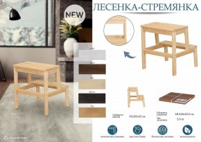 Табурет Стремянка в Нижнем Тагиле - nizhniy-tagil.mebel24.online | фото 6