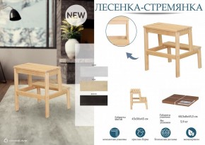 Табурет Стремянка в Нижнем Тагиле - nizhniy-tagil.mebel24.online | фото 4