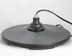 Торшер Lussole Greene LSP-0572 в Нижнем Тагиле - nizhniy-tagil.mebel24.online | фото 4