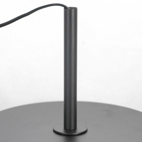 Торшер Lussole  LSP-0590 в Нижнем Тагиле - nizhniy-tagil.mebel24.online | фото 3