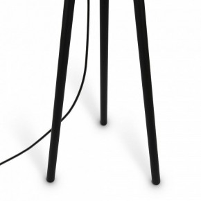 Торшер Maytoni Calvin Z177FL-01B в Нижнем Тагиле - nizhniy-tagil.mebel24.online | фото 7