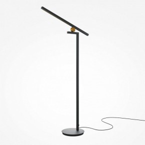 Торшер Maytoni Emphaty MOD363FL-L14B3K в Нижнем Тагиле - nizhniy-tagil.mebel24.online | фото 2