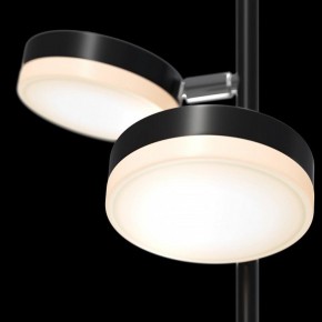 Торшер Maytoni Fad MOD070FL-L12B3K в Нижнем Тагиле - nizhniy-tagil.mebel24.online | фото