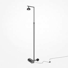 Торшер Maytoni Pikant MOD372FL-L10B3K в Нижнем Тагиле - nizhniy-tagil.mebel24.online | фото 2