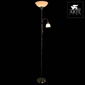 Торшер с подсветкой Arte Lamp Duetto A9569PN-2AB в Нижнем Тагиле - nizhniy-tagil.mebel24.online | фото 3