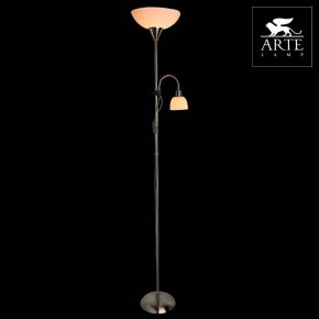 Торшер с подсветкой Arte Lamp Duetto A9569PN-2SS в Нижнем Тагиле - nizhniy-tagil.mebel24.online | фото 3