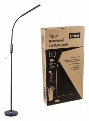 Торшер Uniel ULM-T619 UL-00010178 в Нижнем Тагиле - nizhniy-tagil.mebel24.online | фото 2