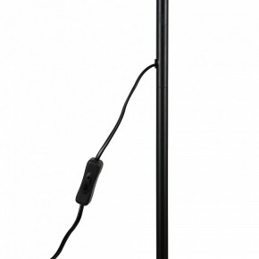Торшер Uniel UML-T701 UL-00010188 в Нижнем Тагиле - nizhniy-tagil.mebel24.online | фото 8