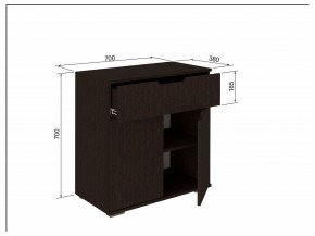 Тумба 2Я-03 в Нижнем Тагиле - nizhniy-tagil.mebel24.online | фото 3