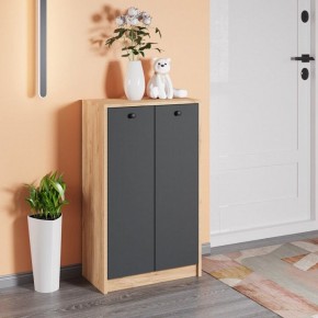 Тумба для обуви Рино в Нижнем Тагиле - nizhniy-tagil.mebel24.online | фото 3
