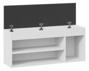 Тумба для обуви Тип 12 в Нижнем Тагиле - nizhniy-tagil.mebel24.online | фото 4