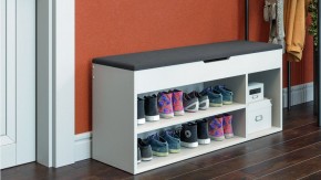 Тумба для обуви Тип 12 в Нижнем Тагиле - nizhniy-tagil.mebel24.online | фото 6