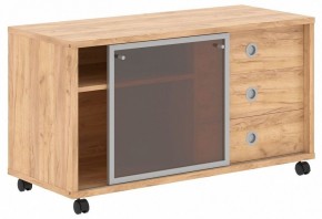Тумба комбинированная Born B 202.2A в Нижнем Тагиле - nizhniy-tagil.mebel24.online | фото