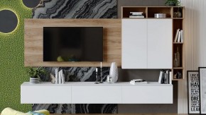 Тумба под ТВ Порто ТД-393.03.12 в Нижнем Тагиле - nizhniy-tagil.mebel24.online | фото 6