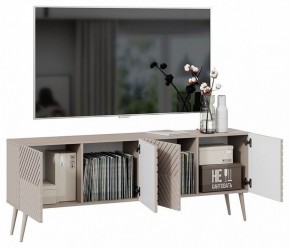 Тумба под ТВ Танго Тип-1 в Нижнем Тагиле - nizhniy-tagil.mebel24.online | фото 3
