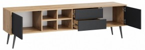 Тумба под ТВ Тип 5 в Нижнем Тагиле - nizhniy-tagil.mebel24.online | фото 2