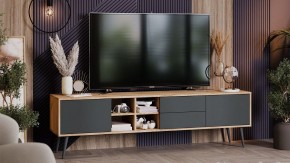 Тумба под ТВ Тип 5 в Нижнем Тагиле - nizhniy-tagil.mebel24.online | фото 5