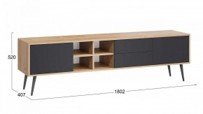 Тумба под ТВ Тип 5 в Нижнем Тагиле - nizhniy-tagil.mebel24.online | фото 6