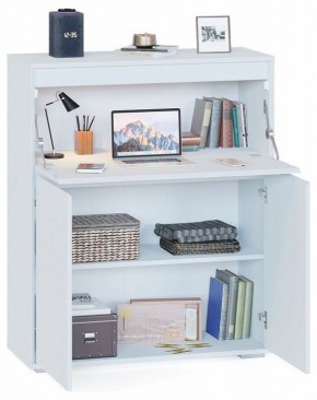 Тумба СПМ-310 в Нижнем Тагиле - nizhniy-tagil.mebel24.online | фото 3