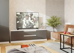 Тумба ТВ большая Парус (Белый/Графит) в Нижнем Тагиле - nizhniy-tagil.mebel24.online | фото 2