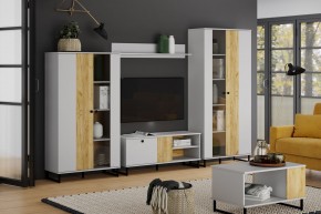 Тумба ТВА НМ 014.45 "Бруно" в Нижнем Тагиле - nizhniy-tagil.mebel24.online | фото 3