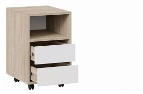 Тумбочка Тип 14 в Нижнем Тагиле - nizhniy-tagil.mebel24.online | фото 2
