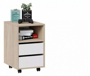Тумбочка Тип 14 в Нижнем Тагиле - nizhniy-tagil.mebel24.online | фото 3