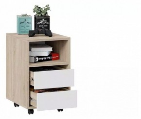 Тумбочка Тип 14 в Нижнем Тагиле - nizhniy-tagil.mebel24.online | фото 4