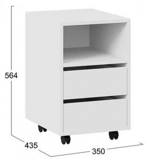 Тумбочка Тип 14 в Нижнем Тагиле - nizhniy-tagil.mebel24.online | фото 4