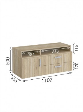 ТВ-тумба 1100 Салоу в Нижнем Тагиле - nizhniy-tagil.mebel24.online | фото 6